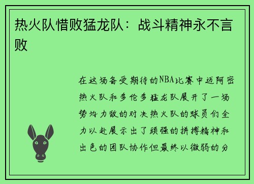热火队惜败猛龙队：战斗精神永不言败
