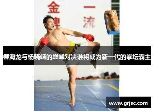 柳海龙与杨晓靖的巅峰对决谁将成为新一代的拳坛霸主